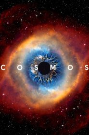 Cosmos: A Spacetime Odyssey (Türkçe Dublaj)