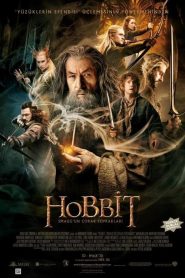 Hobbit 2: Smaug’un Çorak Toprakları (2013) Türkçe Dublaj izle