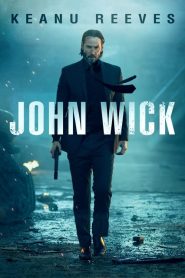 John Wick (2014) Türkçe Dublaj izle