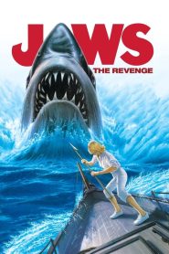 Jaws 4: İntikam (1987) Türkçe Dublaj izle