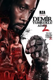 Demir Yumruklu Adam 2 (2015) Türkçe Dublaj izle