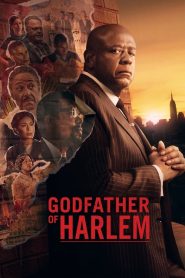 Godfather of Harlem (Türkçe Dublaj)