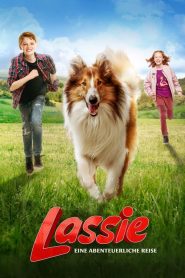 Lassie Eve Dön (2020) Türkçe Dublaj izle