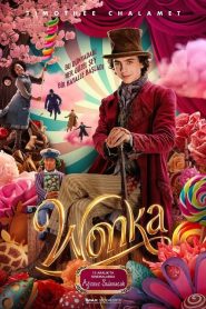 Wonka (2023) Türkçe Dublaj izle