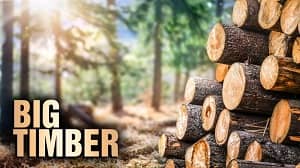 Big Timber 1. Sezon 10. Bölüm (Türkçe Dublaj) izle