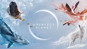 A Perfect Planet 1. Sezon 1. Bölüm (Türkçe Dublaj) izle