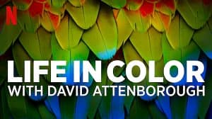 Attenborough’s Life in Colour 1. Sezon 1. Bölüm izle