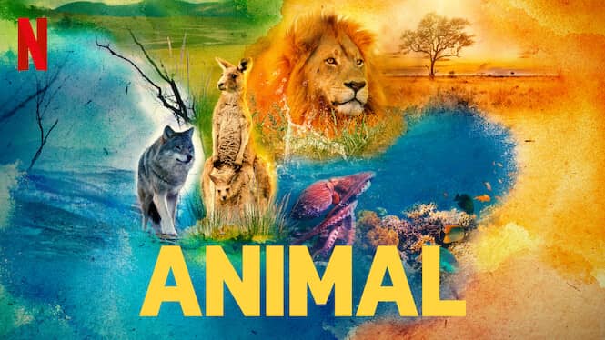 Animal 1. Sezon 1. Bölüm izle