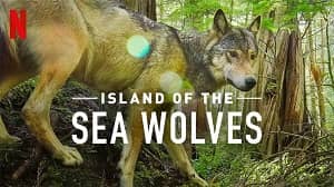 Island of the Sea Wolves 1. Sezon 1. Bölüm izle