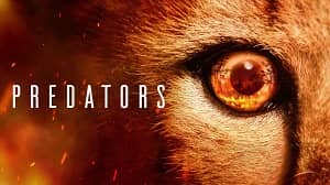 Predators 1. Sezon 3. Bölüm (Türkçe Dublaj) izle