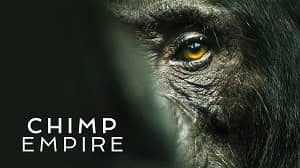 Chimp Empire 1. Sezon 2. Bölüm (Türkçe Dublaj) izle