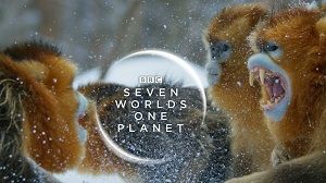 Seven Worlds, One Planet 1. Sezon 1. Bölüm (Türkçe Dublaj) izle